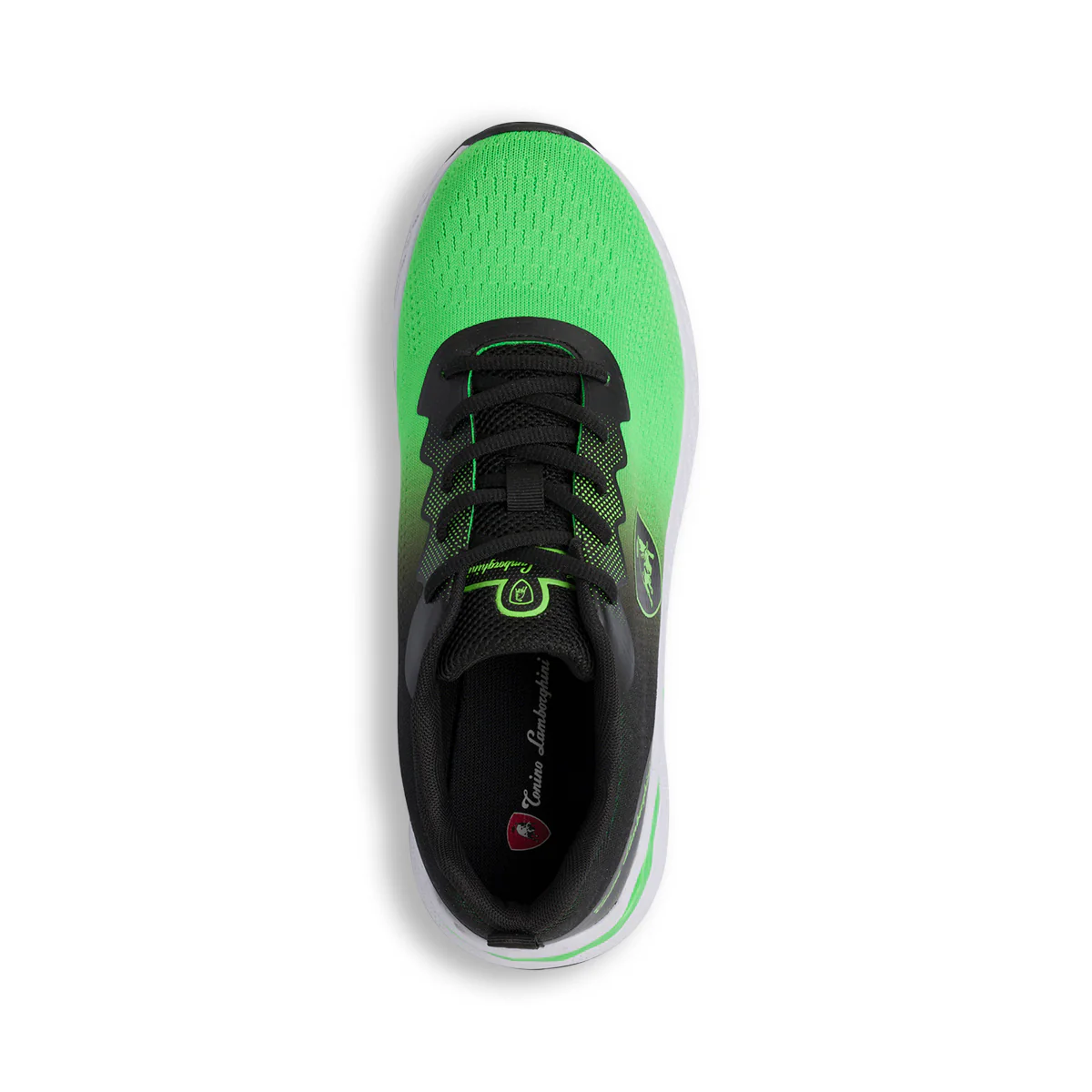 Scarpe da running verdi da Uomo con logo Tonino Lamborghini - Image 5