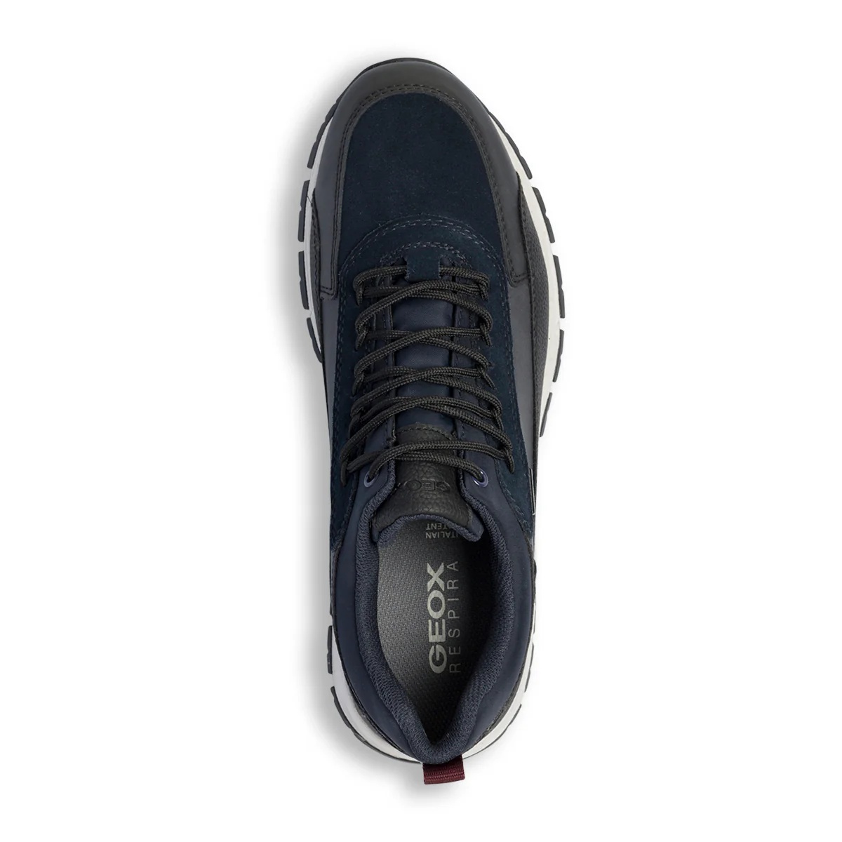Sneakers nere e blu da uomo Geox Delray - Image 13