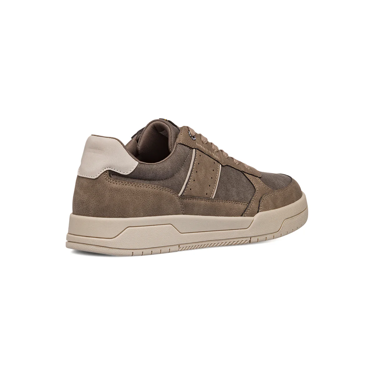 Sneakers taupe da uomo Armata di Mare - Image 3