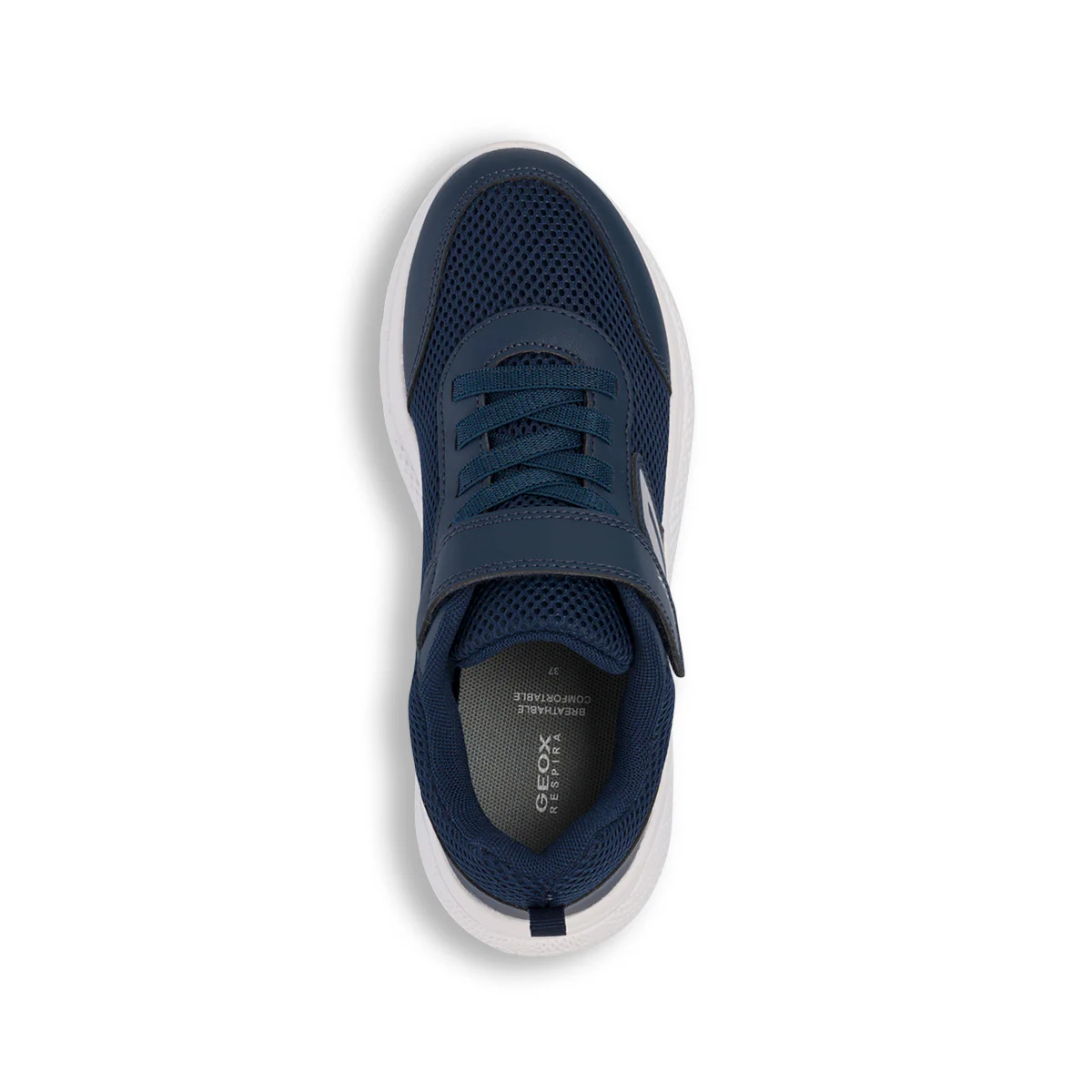 Sneakers traspiranti blu da ragazzo in tessuto mesh Geox Sprintye - Image 5