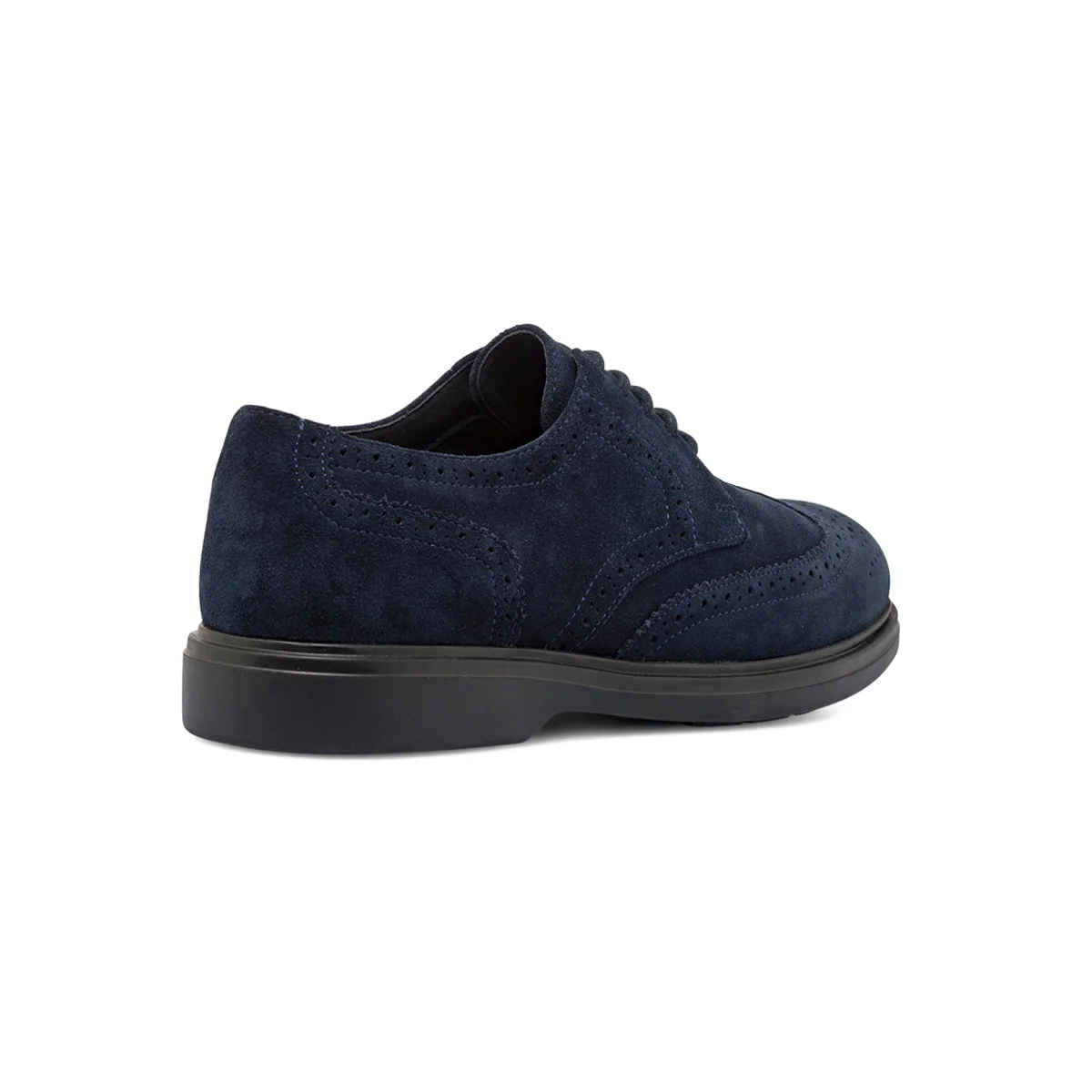Stringate da uomo blu in pelle scamosciata con forature brogue Geox - Image 3