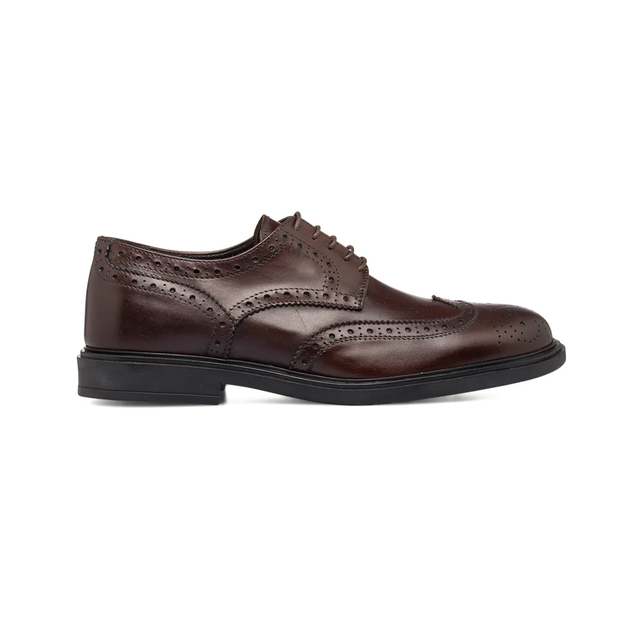 Stringate eleganti derby marroni da uomo in pelle con dettagli brogue Primopiano
