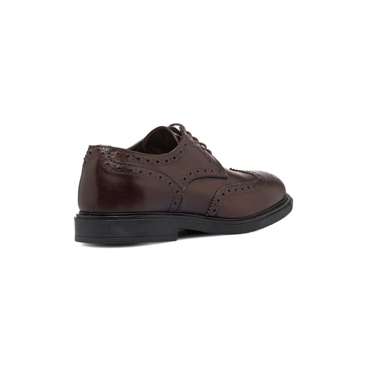 Stringate eleganti derby marroni da uomo in pelle con dettagli brogue Primopiano - Image 3