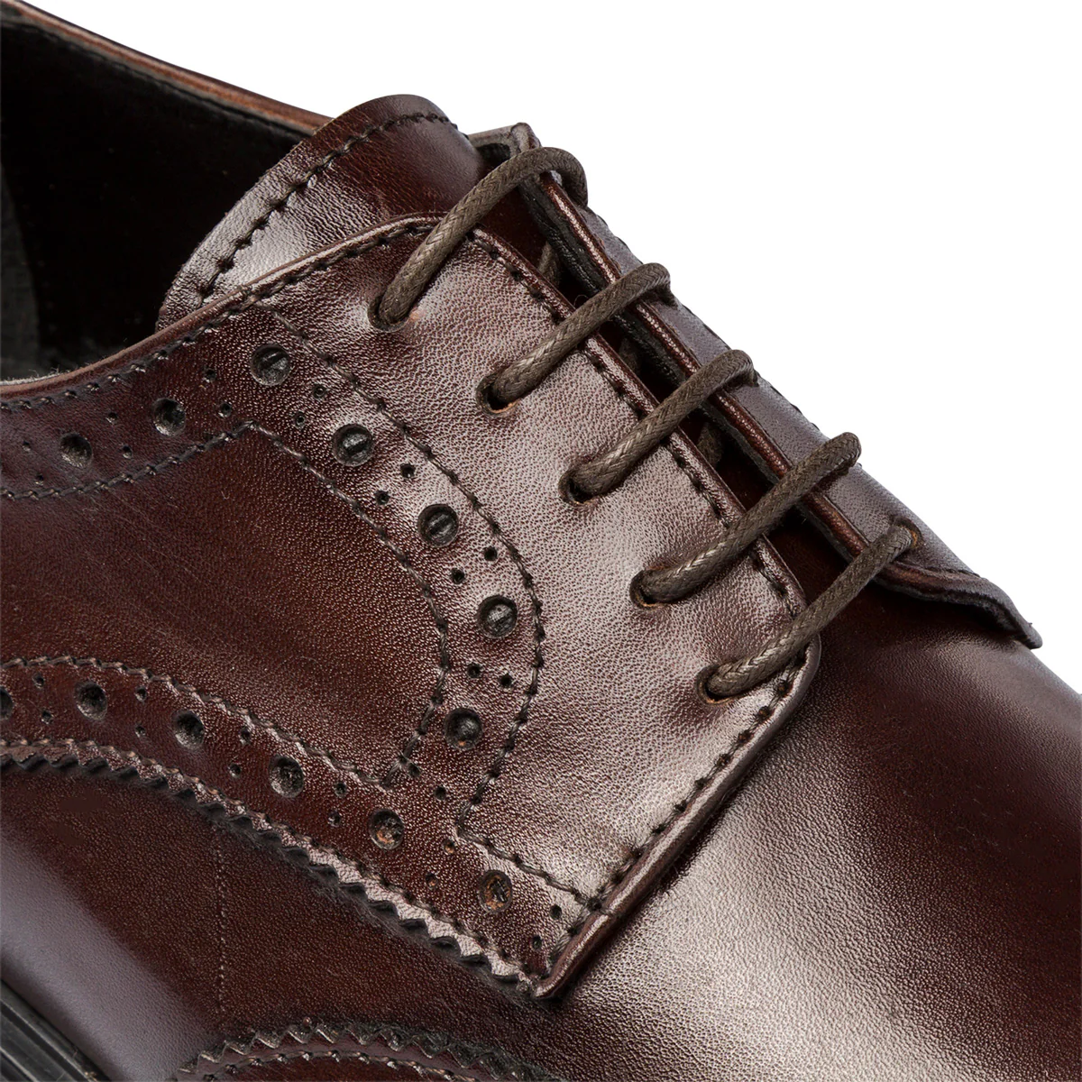 Stringate eleganti derby marroni da uomo in pelle con dettagli brogue Primopiano - Image 6