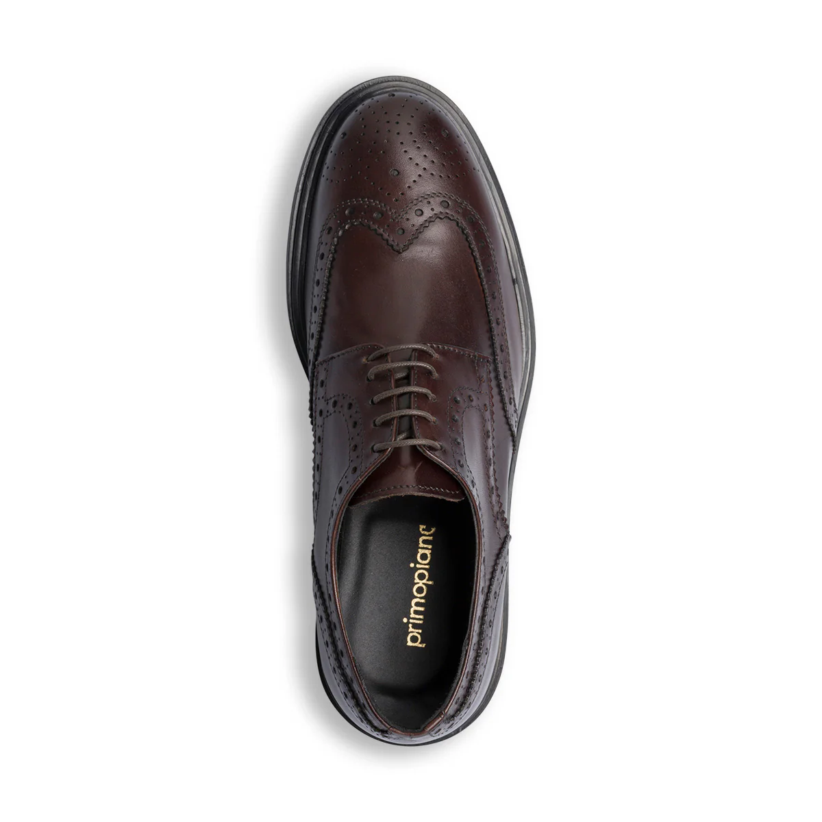 Stringate eleganti derby marroni da uomo in pelle con dettagli brogue Primopiano - Image 7