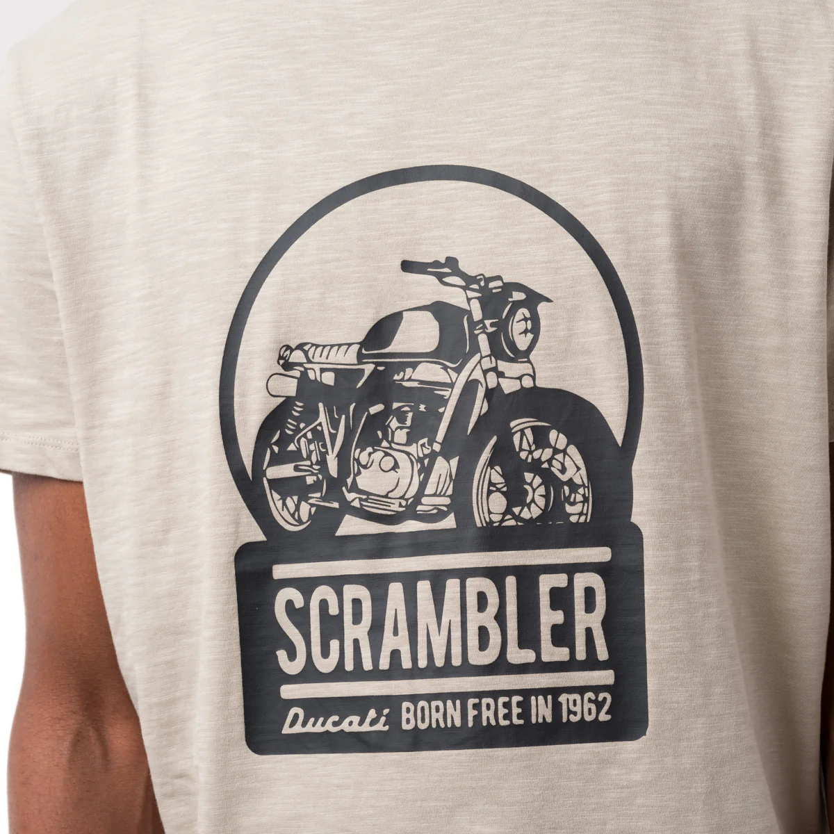 T-shirt girocollo beige da uomo con stampa frontale Ducati Scrambler - Image 3