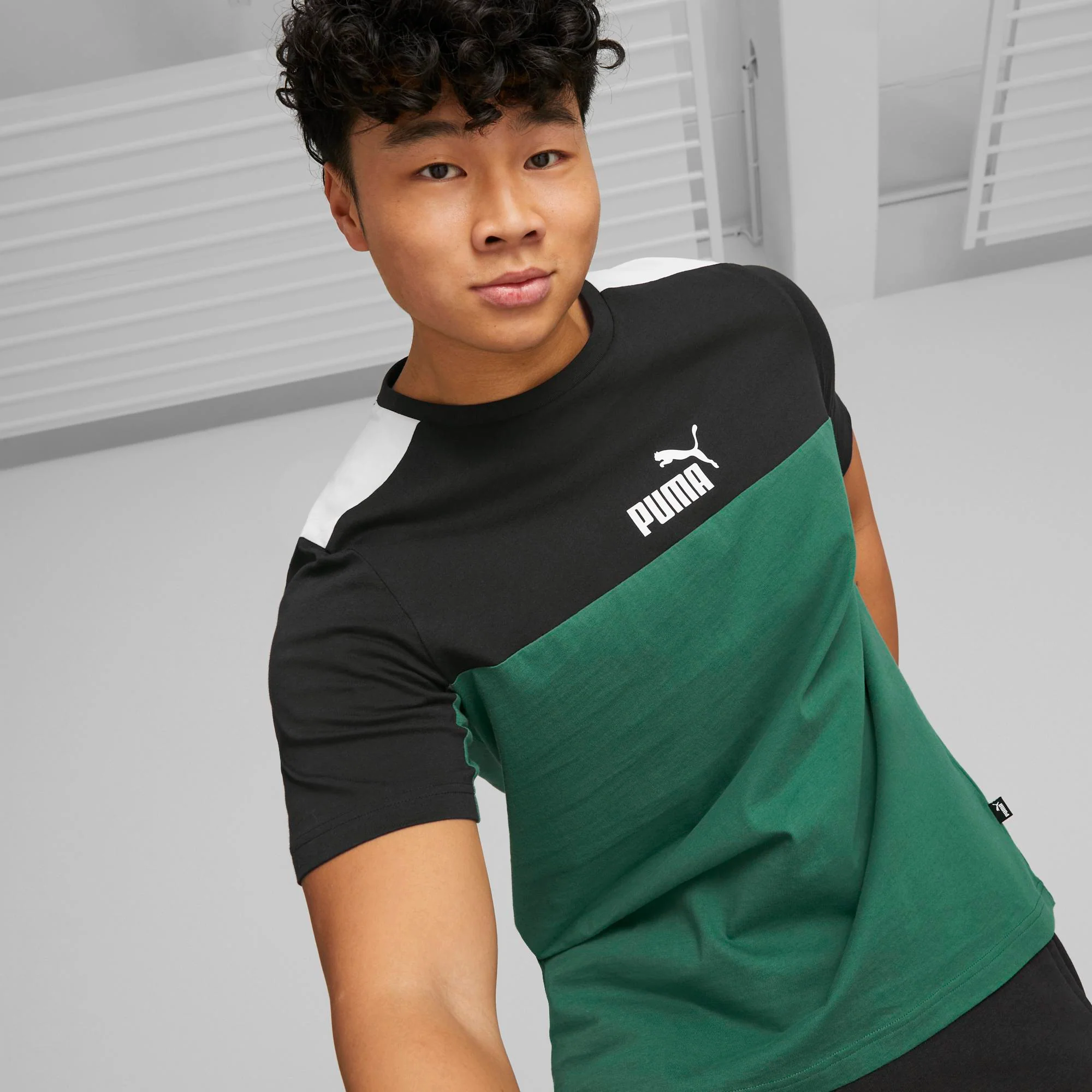 T-shirt verde da uomo Puma Essentials+ Block